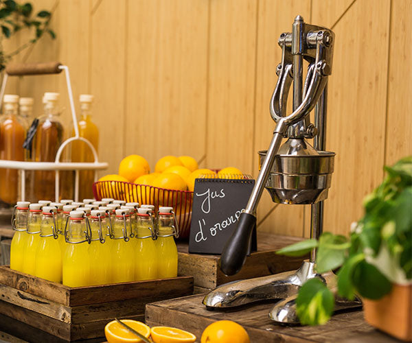 Сокоизстисквачки за плодове