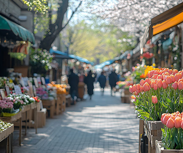 Пролетни оферти