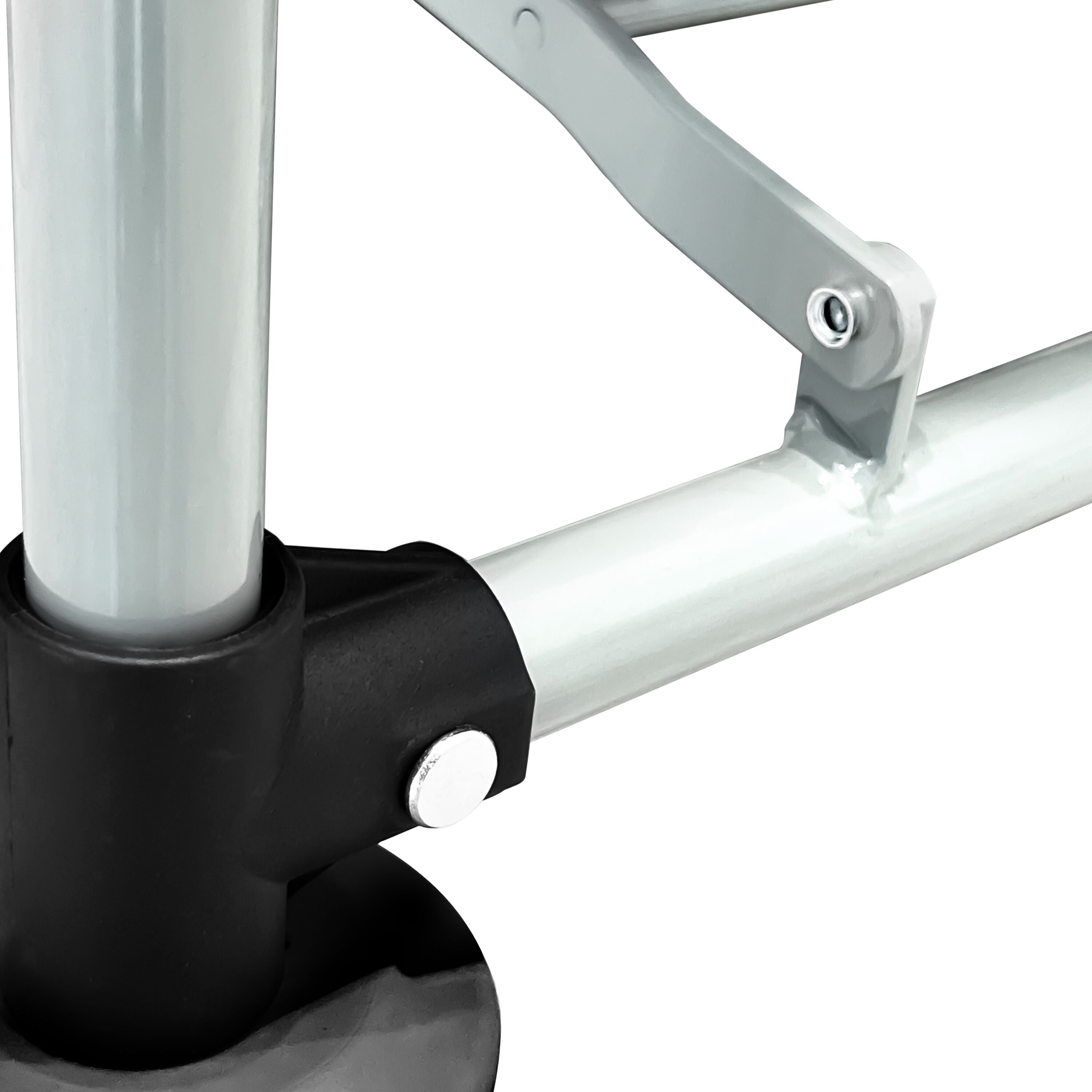 WWKGP_detail_3