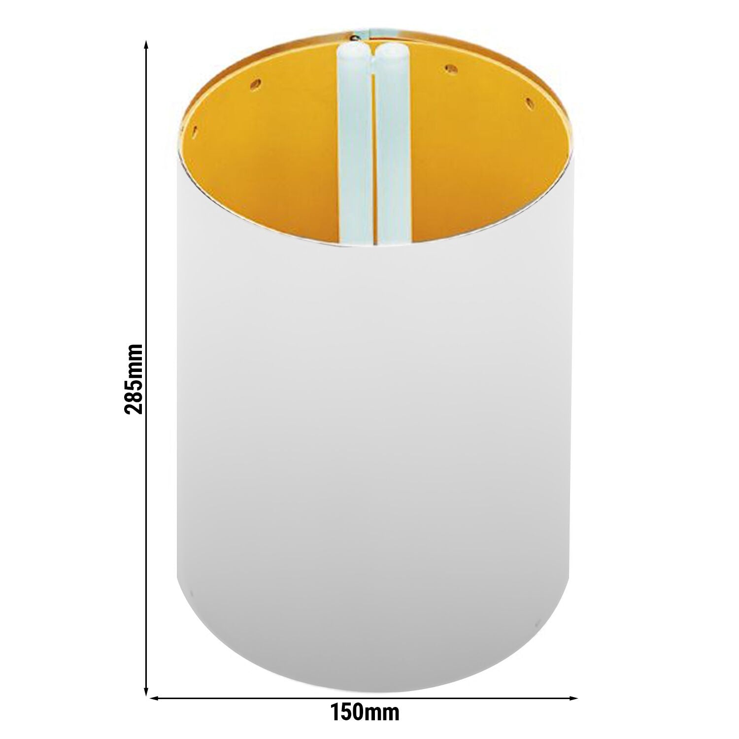 IVB19_0