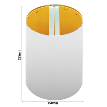 IVB19_0