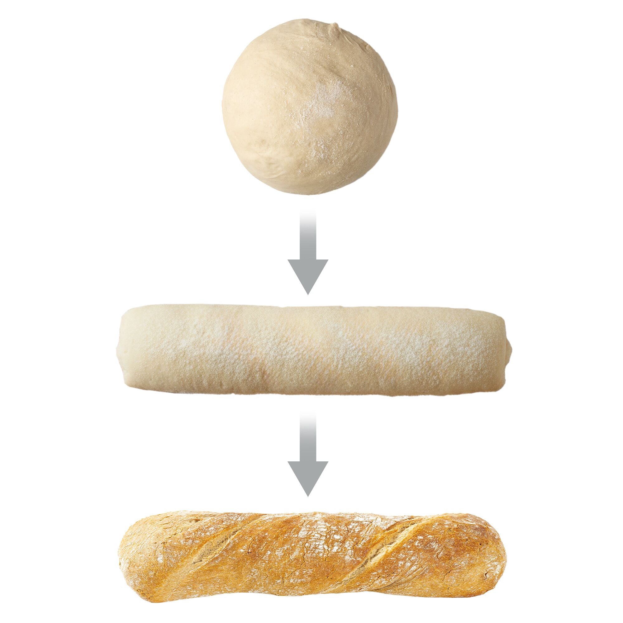 TAM2-4_Backery_Dough